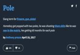 Pole y f Slang term for firearm, gun, pistol Homeboy got popped with two poles, he was shooting them s---- like he was neo in the matrix, hes getting 60 months for each pole by Anthony prazzo April 18, 2017 576 4155 7 FLAG