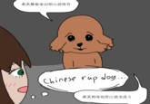 老天保佑金山银山前路有 Chinese rap dog... 老天教唆别管江湖龙虎斗