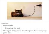 ladydarkwolf: bunnyfood: Charging the cat The eyes are green. It's charged. Please unplug your cat.