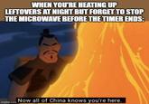 WHEN YOU'RE HEATING UP LEFTOVERS AT NIGHT BUT FORGET TO STOP THE MICROWAVE BEFORE THE TIMER ENDS: imgflip.com Now all of China knows you're here.