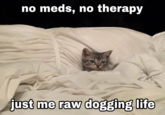 no meds, no therapy sadasscats just me raw dogging life