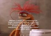 An image of Pepe the King Prawn from "The Muppets":https://knowyourmeme.com/memes/subcultures/the-muppets staring blankly. The image is captioned, "When I was a freshman in high school a group of boys asked me and my girlfriends if we wanted a pearl necklace. We were excited and said yes."