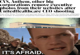 CVS, Anthem, other big corporations remove executive photos from their websites after UnitedHealthcare CEO shooting Days after Brian Thompson was gunned down in New York, the leadership webpages for a number of insurance companies have been edited to hide personal information. UnitedHealthcare IT'S AFRAID.