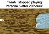 "Yeah I stopped playing Persona 5 after 20 hours"