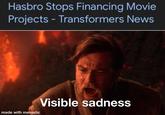 Hasbro Stops Financing Movie Projects - Transformers News made with mematic Visible sadness