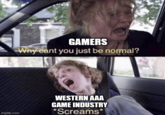 imgflip.com GAMERS Why cant you just be normal? WESTERN AAA GAME INDUSTRY *Screams*