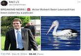 Iris ('m`) @cnstantines BREAKING NEWS | Actor Robert Sean Leonard has been eaten by a pelican 7:32 PM Dec 8, 2024 · 68.4K Views ...