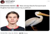 jack hughes @R86WDY BREAKING NEWS | New Jersey Devils forward Jack Hughes has been eaten by a pelican. NHL 10:50 PM Dec 8, 2024 46.7K Views