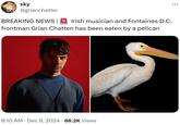 sky @grianchatter BREAKING NEWS | Irish musician and Fontaines D.C. frontman Grian Chatten has been eaten by a pelican 8:10 AM Dec 9, 2024 66.2K Views ...