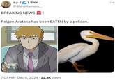 =;-3 Shin. @ShinjiKamuro___ BREAKING NEWS | Reigen Arataka has been EATEN by a pelican. • • 7:07 PM Dec 9, 2024 22.3K Views ...