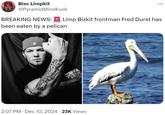 Bisc Limpkit @PyramidMindFuck BREAKING NEWS: ... Limp Bizkit frontman Fred Durst has been eaten by a pelican 2:07 PM Dec 10, 2024 23K Views