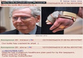 Board /pol/ - Politically Incorrect Mitch the turtle McConnell's injuries after recent fall Mitch the turtle McConnell's i(...) ▼Settings Mobile Home 1/24(Wed)14:30:17 No.491157609 984 KB JPG Anonymous (ID: FO17jUwV) 12/11/24(Wed)14:31:08 No.491157687 Our turtle has cracked its shell. :( 12/11/24(Wed)14:31:46 No.491157742 Anonymous (ID: jizvr+qv)! >>491157609 (OP) Glad he has a platinum healthcare plan paid for by the taxpayers, didn't cost him a thing. Turtle looking m-----------