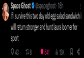 Space Ghost @spaceghost ⚫ 18h • if i survive this two day old egg salad sandwich i will return stronger and hunt laura loomer for sport 43 278 641 13K ☐