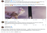 Pokimane promotes CATLY Pokimane made a post promoting CATLY, an upcoming multiplayer game created by SuperAuthenti, headed by Kevin Yeung. The game was announced at the 2024 "Game Awards":https://knowyourmeme.com/memes/events/the-game-awards, promoted as a "AAA" game and slated for release on PC, Nintendo Switch and Apple Watch. The game incited controversy online in December 2024 for it's AI-generated artwork, and for displaying a lack of transparency about the creators, studio and developers backing the project.