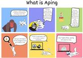A comic attempting to describe what apeing is in crypto. The comic was posted by coinmonks.