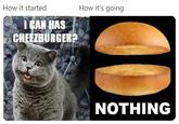 How it started I CAN HAS CHEEZBURGER? How it's going NOTHING