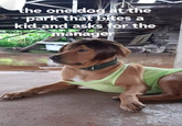 the one dog at the park that bites a kid and asks for the manager
