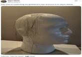A tweet by @SteveStyro sharing a photo of a styrofoam head with a few hairs attached to it. The tweet reads, "Day one of collecting my girlfriend’s hair and put it on Styro Steve."