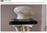 A tweet by @SteveStyro sharing a photo of a styrofoam head with a few hairs attached to it, claiming this is the second day of attaching his girlfriend's hair to the head. The tweet reads, "Day two of collecting my girlfriend’s hair and sticking it on Styro Steve until the head is full."