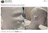 A tweet by @SteveStyro sharing two images of Styro Steve. The tweet reads, "Started from the bottom now we hair."