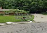A screenshot of a home on Google Earth. The photo shows the user's dogs still alive in the driveway.