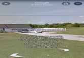 A screenshot of a home on Google Earth. The caption reads, "Somewhere on google earth my favorite dog is still alive. She's soaking up the sunshine and watching cars go by, in the driveway of my childhood home."
