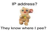 IP address? They know where I pee?