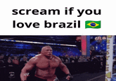 Brock Lesnar GIF caption meme captioned "Scream if you love Brazil".