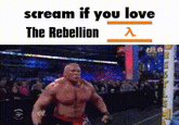Brock Lesnar GIF caption meme captioned "Scream if you love The Rebellion". Rebellion is a mod for the 2004 video game Half-Life 2.