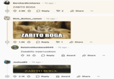 Replies to posts made by _Elden Ring_ players who managed to defeat Radahn were spammed with the phrase "Zabito Boga."