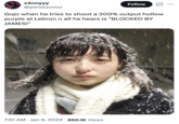 Memes referencing the phrase "Blocked by James* continued to gain traction in the early 2020s. The phrase comes from Mike Breen's commentary when Lebron James blocked Andre Iguodala during game 7 of the 2016 NBA Finals between the Cleveland Cavaliers and the Golden State Warriors.