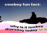A "cowboy fun fact" meme reading, "why is it lowkey thursday today." The meme was posted by coolmathgames.