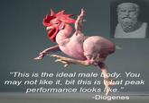 "This is the ideal male body. You may not like it, bit this is what peak performance looks like." -Diogenes