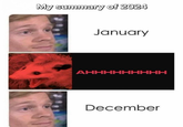 My summary of 2024 January AHHHHHHHHH December