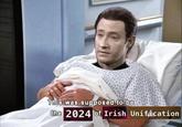 This was supposed to be the 2024 of Irish Unification