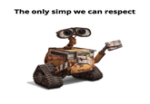 The only simp we can respect WALLE