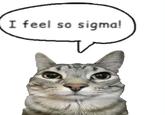 A cat version of the I Feel So Sigma meme.