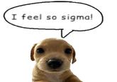 A puppy version of the I Feel So Sigma meme.