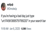 The "tweet":https://knowyourmeme.com/memes/sites/twitter-x telling people to search "url:1745613695751799220" in their search bar when they're having a bad day.
