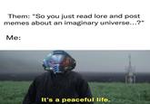 Them: "So you just read lore and post memes about an imaginary universe...?" Me: It's a peaceful life.