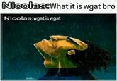 Nicolas: What it is wgat bro Nicolas:wgat is wgat POPBEL