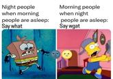 Night people when morning people are asleep: Say what Morning people when night people are asleep: Say wgat