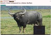 A Reddit post titled "Switch 2 Size compared to a Water Buffalo." The post shares a meme comparing a water buffalo to the supposed size of the Switch 2.