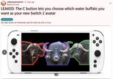 r/NintendoSwitch2 • 21 days ago BertelTheTurtel LEAKED: The C button lets you choose which water buffalo you want as your new Switch 2 avatar meme/funny My dad works at Nintendo and he told me this is true >