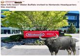 A Reddit post titled, "New Info Soon? Water Buffalo invited to Nintendo Headquarters this morning." The attached meme shows a water buffalo outside Nintendo headquarters.
