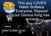 www This guy LOVES Water Buffalos. Everyone, Rejoice! our Genius King has arrived! Follow O water buffalo lover. C+ Ꭰ LO