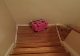 Telling your suitcase there's no more vacations this year can be tough. Emotional baggage is the worst