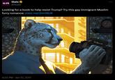 Original tweet about the Gay Immigrant Muslim Furry Romance. 