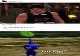 A meme reading, "Me, age 13, watching the Disney channel." The meme is a picture of a blue Pikmin asking, "Im f*g?"