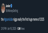 January 16th, 2025 tweet by @reenzy Junior @JrMoneyGetting the #goonicide n---- really the first huge meme of 2025 2:10 PM ⚫ Jan 16, 2025 1.3M Views